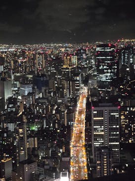 東京タワーに投稿された画像（2024/8/28）