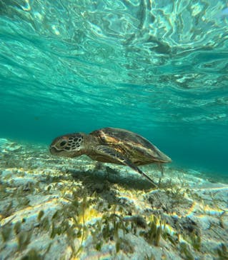 nico 宮古島に投稿された画像（2024/8/28）