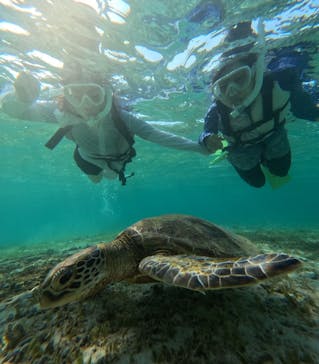 nico 宮古島に投稿された画像（2024/8/28）