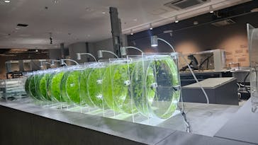 AOAO SAPPOROに投稿された画像（2024/8/28）