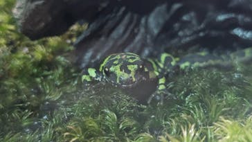 AOAO SAPPOROに投稿された画像（2024/8/28）