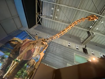 巨大恐竜展2024に投稿された画像（2024/8/28）