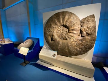 巨大恐竜展2024に投稿された画像（2024/8/28）