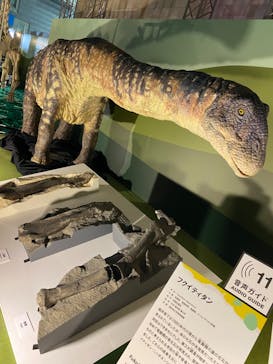 巨大恐竜展2024に投稿された画像（2024/8/28）