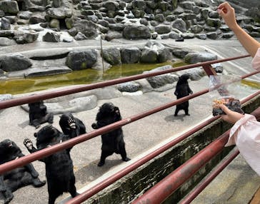 奥飛騨クマ牧場に投稿された画像（2024/8/28）