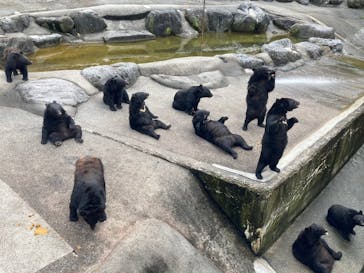 奥飛騨クマ牧場に投稿された画像（2024/8/28）