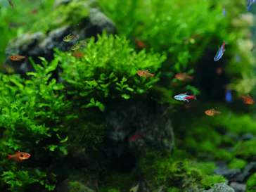 すみだ水族館に投稿された画像（2024/8/29）