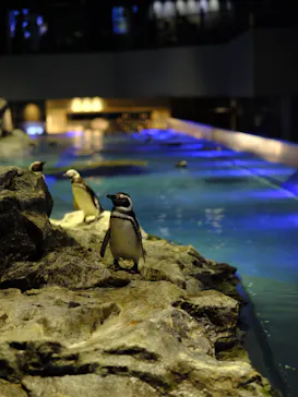 すみだ水族館に投稿された画像（2024/8/29）