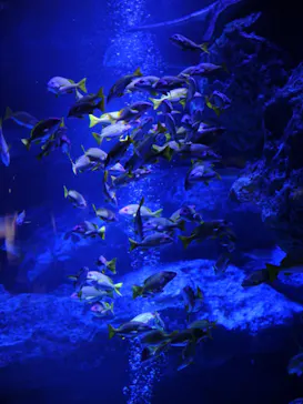 すみだ水族館に投稿された画像（2024/8/29）