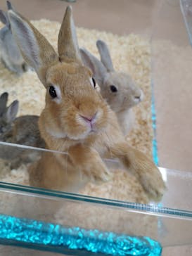 いきもの探検隊上尾に投稿された画像（2024/8/29）