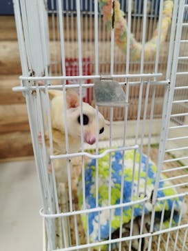 いきもの探検隊上尾に投稿された画像（2024/8/29）