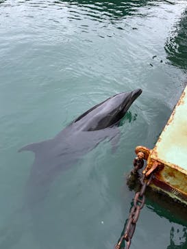 下田海中水族館に投稿された画像（2024/8/29）
