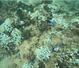 武藤潜水に投稿された画像（2024/8/29）