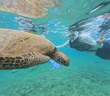 nico 宮古島に投稿された画像（2024/8/29）