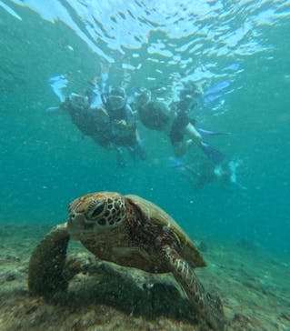 nico 宮古島に投稿された画像（2024/8/29）