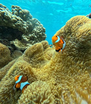 nico 宮古島に投稿された画像（2024/8/29）