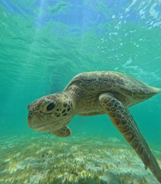 nico 宮古島に投稿された画像（2024/8/29）