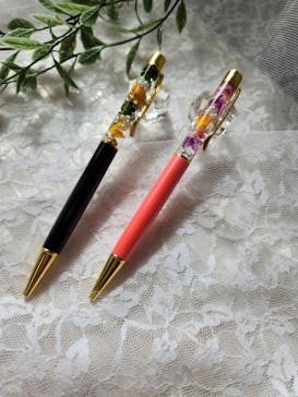 ずこうしつ〜sugamo〜に投稿された画像（2024/8/29）