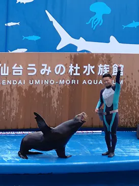 仙台うみの杜水族館に投稿された画像（2024/8/29）