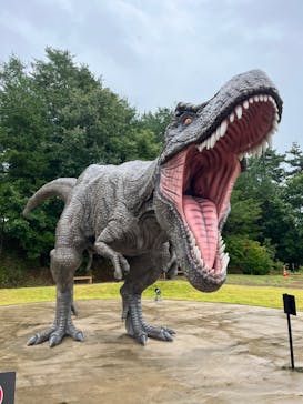 福井県立恐竜博物館に投稿された画像（2024/8/29）