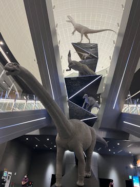 福井県立恐竜博物館に投稿された画像（2024/8/29）