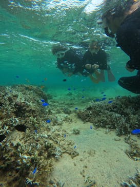 沖縄マリンサービス碧に投稿された画像（2024/8/29）