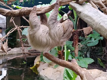 那須どうぶつ王国に投稿された画像（2024/8/29）