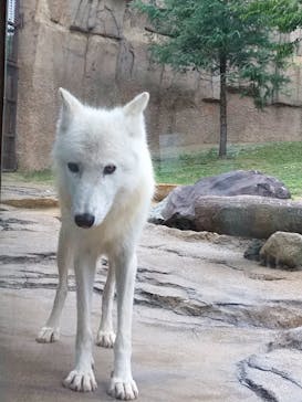 那須どうぶつ王国に投稿された画像（2024/8/29）