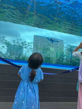 サンシャイン水族館に投稿された画像（2024/8/29）