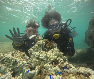 武藤潜水に投稿された画像（2024/8/29）