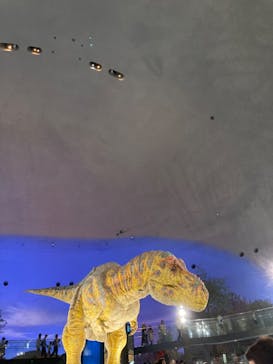福井県立恐竜博物館に投稿された画像（2024/8/29）