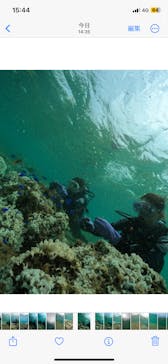 武藤潜水に投稿された画像（2024/8/29）