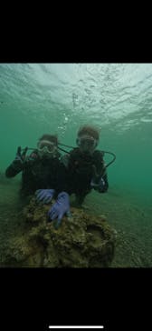 武藤潜水に投稿された画像（2024/8/29）