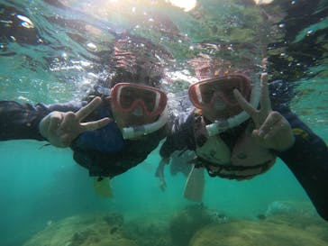 武藤潜水に投稿された画像（2024/8/29）