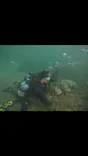 武藤潜水に投稿された画像（2024/8/29）