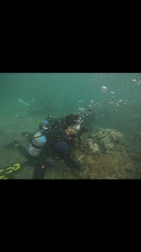 武藤潜水に投稿された画像（2024/8/29）