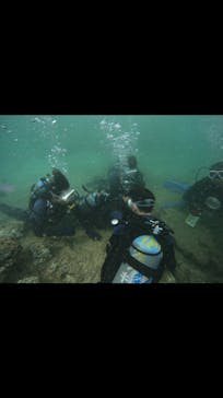 武藤潜水に投稿された画像（2024/8/29）