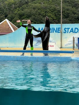下田海中水族館に投稿された画像（2024/8/29）