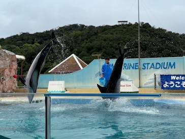 下田海中水族館に投稿された画像（2024/8/29）