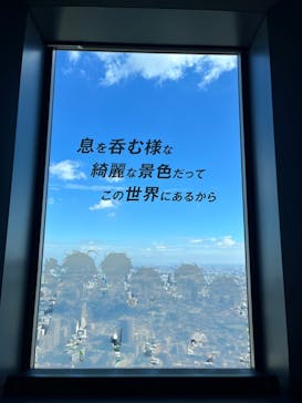 サンシャイン60展望台に投稿された画像（2024/8/29）