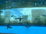 サンシャイン水族館に投稿された画像（2024/8/29）