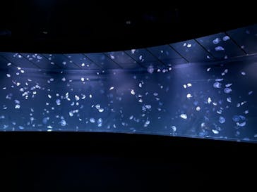 サンシャイン水族館に投稿された画像（2024/8/29）