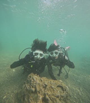 沖縄マリンサービス碧に投稿された画像（2024/8/29）