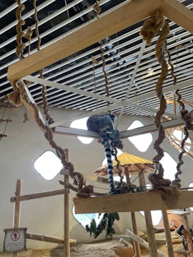 NIFREL（ニフレル）に投稿された画像（2024/8/29）