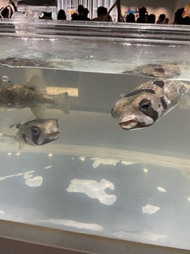 NIFREL（ニフレル）に投稿された画像（2024/8/29）