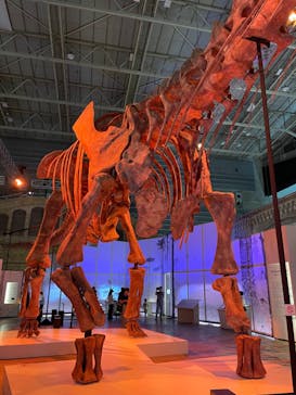 巨大恐竜展2024に投稿された画像（2024/8/29）