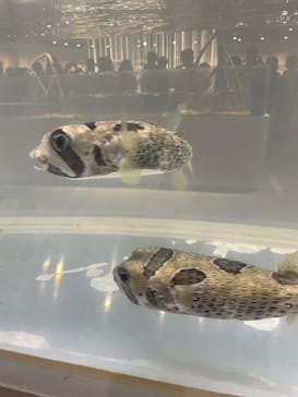 NIFREL（ニフレル）に投稿された画像（2024/8/29）