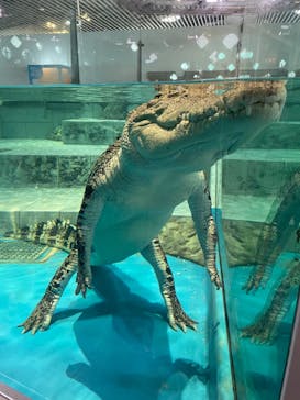 NIFREL（ニフレル）に投稿された画像（2024/8/29）