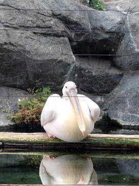 横浜・八景島シーパラダイスに投稿された画像（2024/8/29）