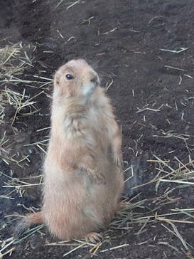 横浜・八景島シーパラダイスに投稿された画像（2024/8/29）